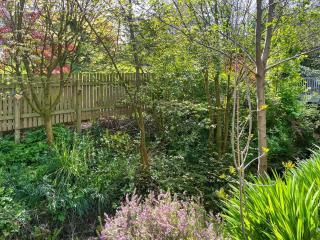 Swallows Nest - Dearham - 4