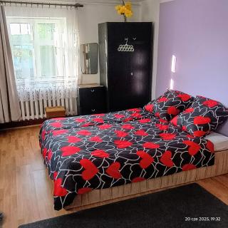 Pokoje u Roberta - Węgorzewo - 8