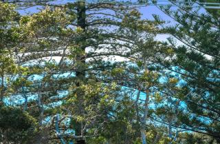 Sunshine's Heart - Central Sunshine Beach, Noosa - Sunshine Beach - 2