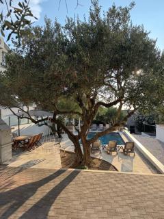 Artemis Poolhouse Apartments - Baška Voda - 9