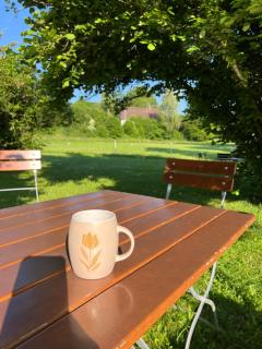 Hotel Hirsch - Fluorn - 2