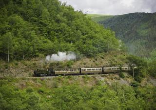 Foxglove Cabin - Devils Bridge - 7