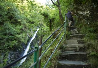 Rose Cabin - Devils Bridge - 6