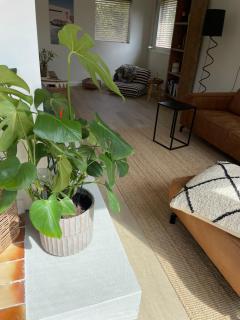 Holiday home close to beach - Noordwijkerhout - 1