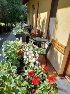 Bambusz Apartman Gyula - Gyula - 6