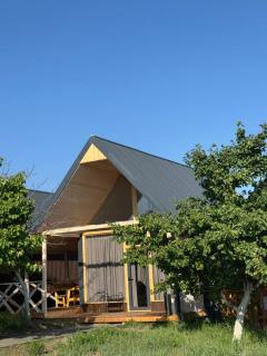 Coral houses2 - Tosor - 9
