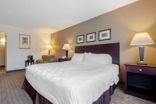 Clarion Inn Elmira-Horseheads - Elmira - 4