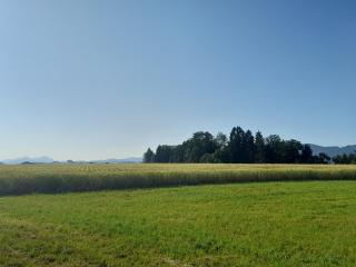 Almtalblick - Pettenbach - 5