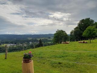 Almtalblick - Pettenbach - 4