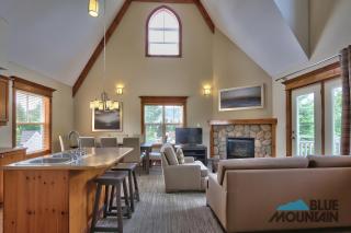 Blue Mountain Resort Village Suites - Blue Mountains - 1