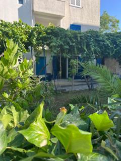 APARTMENT AMBLI HOUSE - Tivat - 9