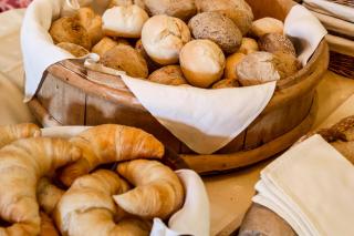 Swiss Historic & Garten Hotel Villa Carona - 7