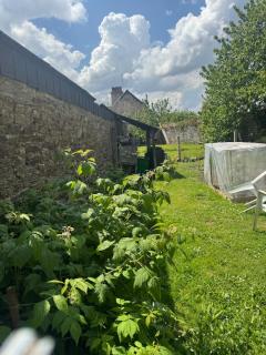 Relaxing Break and Garden - - 1