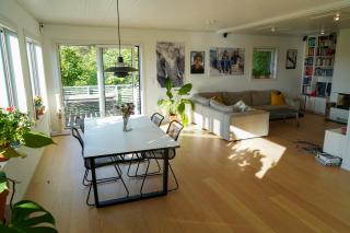Treetop feeling 190 sqm with amazing views - Oslo - 7