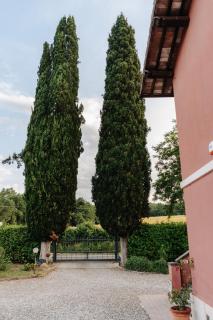 Il Casale delle Rose - Paganico - 9