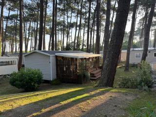 Mobil-home plage des casernes - Seignosse - 8