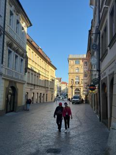 Lovely Historical Apartment - Prag - 8