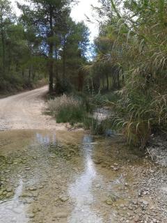 Lozano y Rueda - Moratalla - 7
