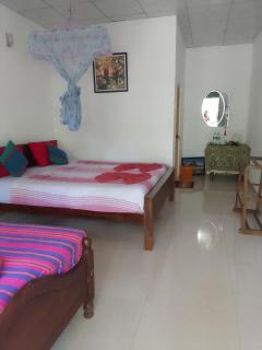 Freedom Home Stay - Sigiriya - 8