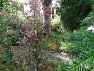 Vakantiehuis BuitenGewoon - 9