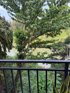 StayLOG Peradeniya - Kandy - 3