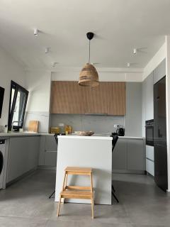 Flegra Design Apartment - Kallithea (Chalkidiki) - 4