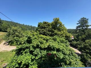 Gîte au Manoir des Sens - Escapade insolite aux parfums et couleurs d Asie - Bergheim - 3