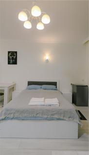Roneey Lux Apartment - Batumi - 3