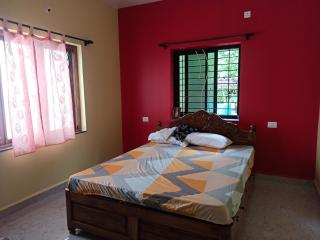 Dmello guesthouse - Palolem - 1