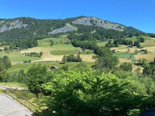 Chalets des Evettes- appartement vue montagne - 8