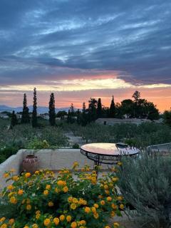 Pistachio House - Egina - 4