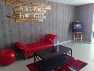 Aster+ Hotel Bukit Jalil - Kuala Lumpur - 3