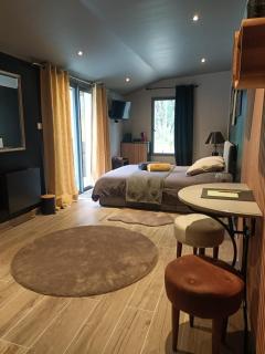 Suite Balnéo en bord de forêt - Pouzy-Mésangy - 0