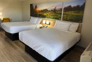 Days Inn by Wyndham Reno - Reno - 8