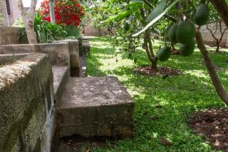 The hill haven - Arusha - 3