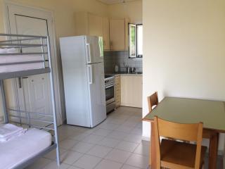 Chariclias House Kefalonia sea view apartment - Fársa - 8