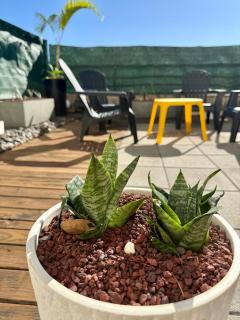 T3 Le Frangipanier - Terrasse Jardin & Jacuzzi - Saint-Denis - 4