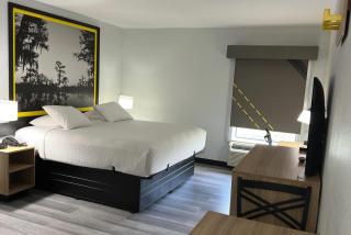 Super 8 by Wyndham Alexandria LA - Alexandria - 4