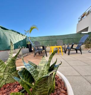 T3 Le Frangipanier - Terrasse Jardin & Jacuzzi - Saint-Denis - 5