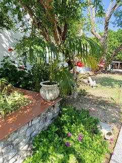 Mammaioa house - 2