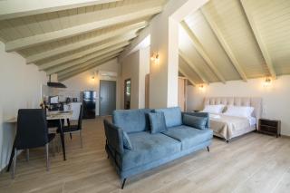 THISEFS luxury apartments Kefalonia - - 5