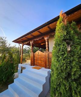 Nature Bungalow In the Family Garden - 5 min to City Center, Lake Access, Close to Lidl and Stunning Pool - 5