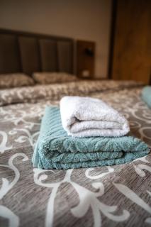 Apartman Zlatibor 30 Wellness & Spa - Zlatibor - 3