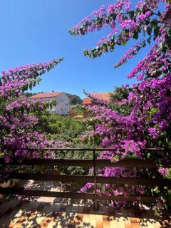 Apartments&Rooms Pahljina - 8