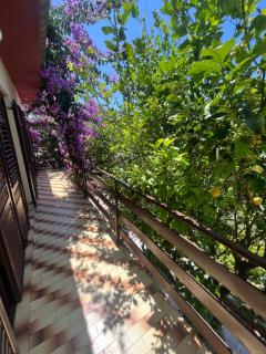 Apartments&Rooms Pahljina - 6