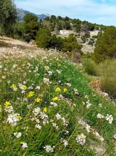 Cortijo la Huerta - 9