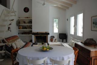 Vila Thimari A House in olive grove - Eretria - 7