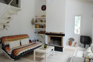 Vila Thimari A House in olive grove - Eretria - 4