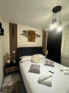 Cozy Escape Apartment - Tecuci - 9