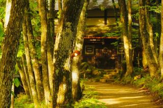 Wanosato - Takayama - 7